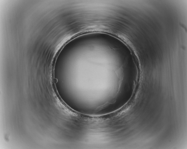 X0000100210941200805301323
