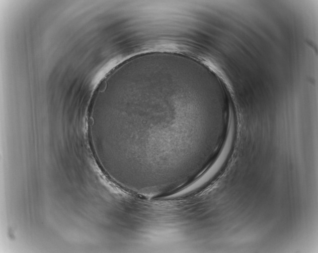 X0000100210944200805301323