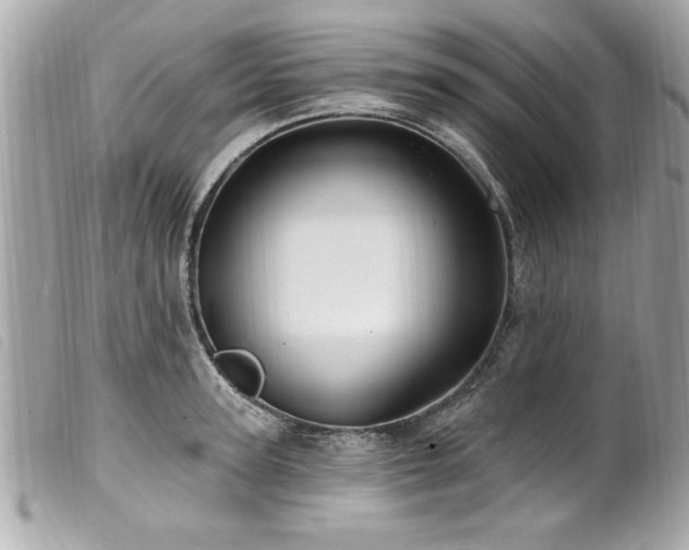 X0000100210947200805301323