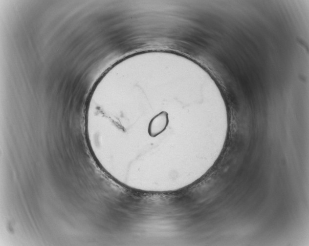 X0000100210950200805301323