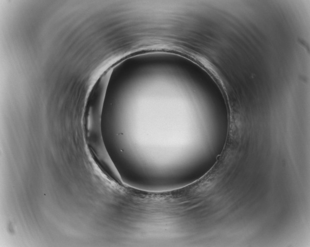 X0000100210951200805301323