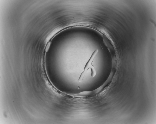 X0000100210952200805301323