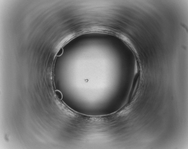 X0000100210954200805301323