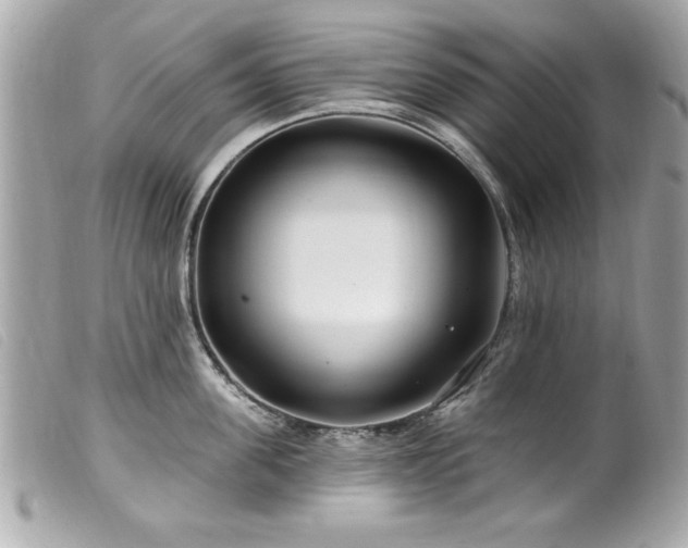 X0000100210955200805301323