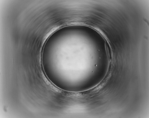 X0000100210957200805301323