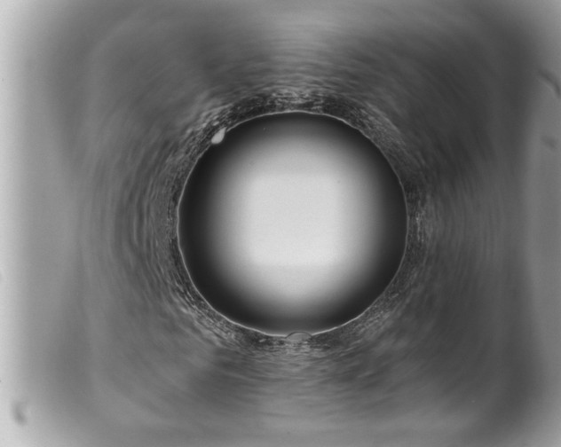 X0000100210961200805301322