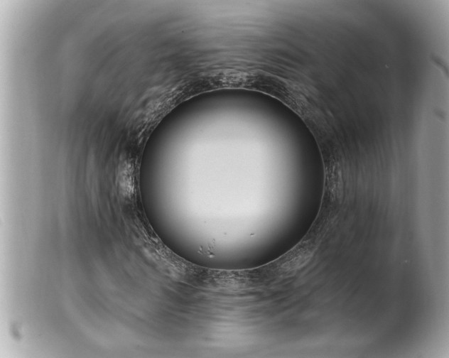 X0000100210962200805301322