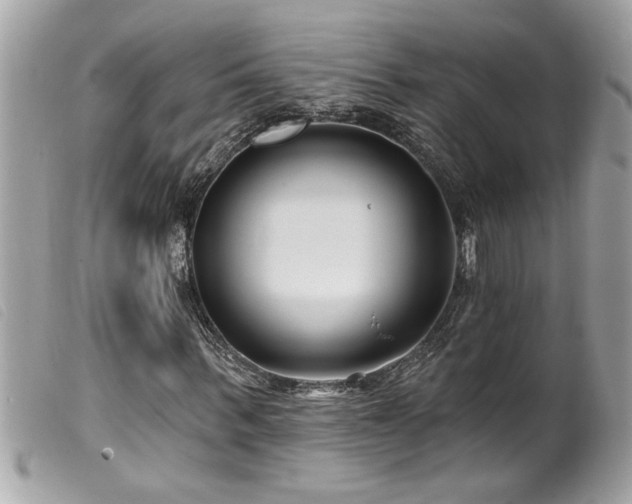 X0000100210963200805301322
