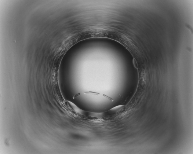 X0000100210964200805301322