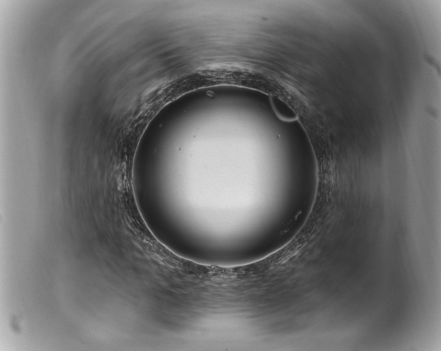 X0000100210965200805301322