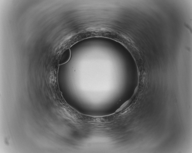 X0000100210966200805301322