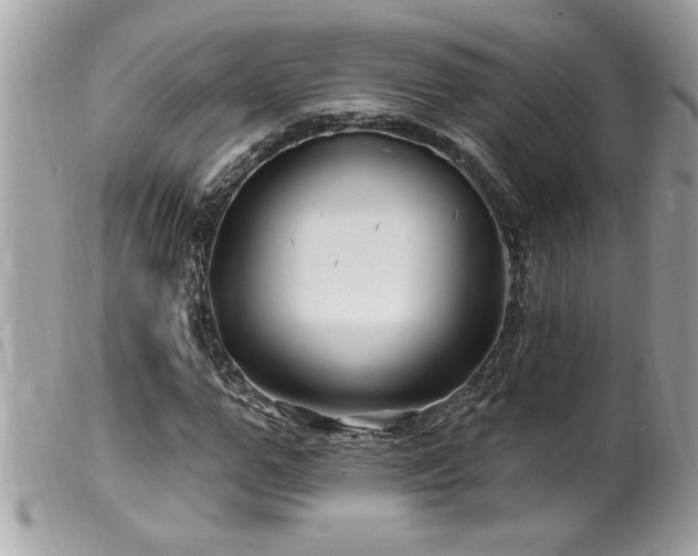 X0000100210967200805301322