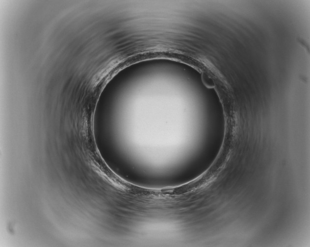 X0000100210969200805301322