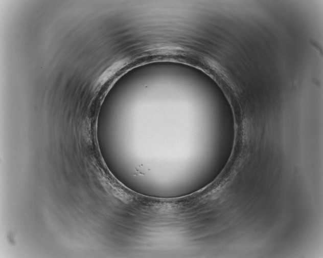 X0000100210970200805301322