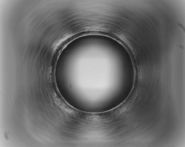 X0000100210971200805301322