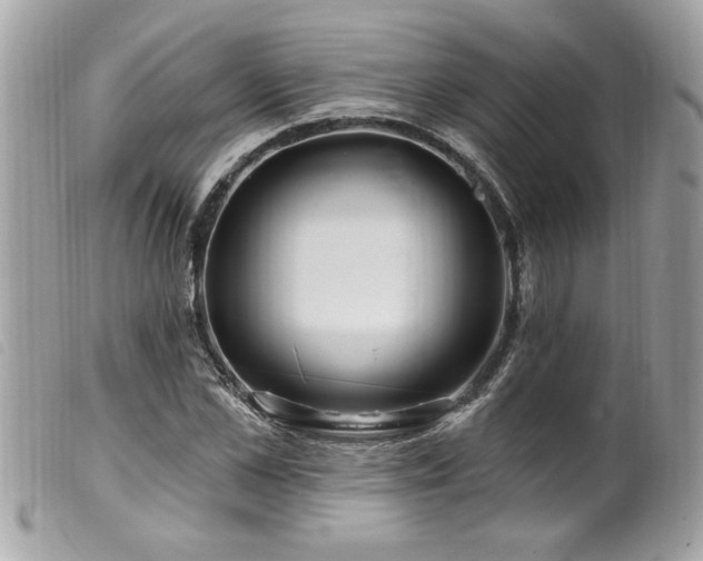 X0000100210973200805301322