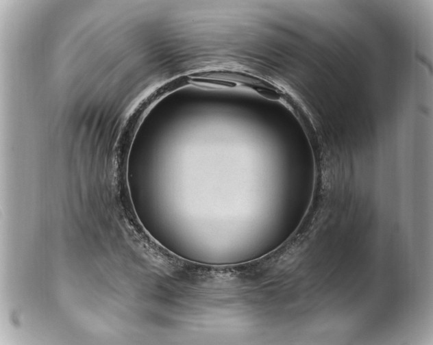 X0000100210975200805301322