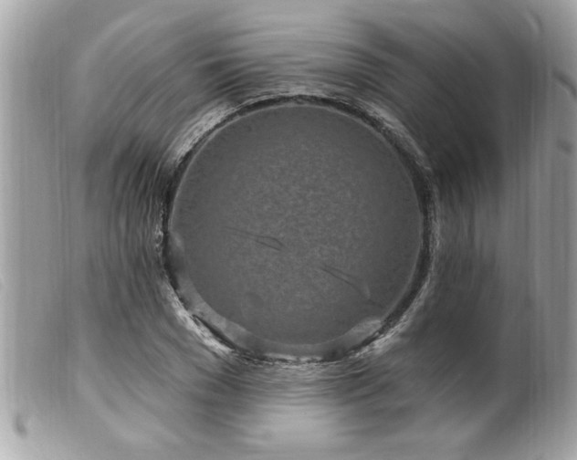 X0000100210977200805301322