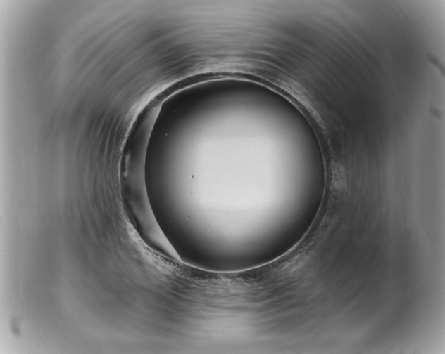 X0000100210980200805301322
