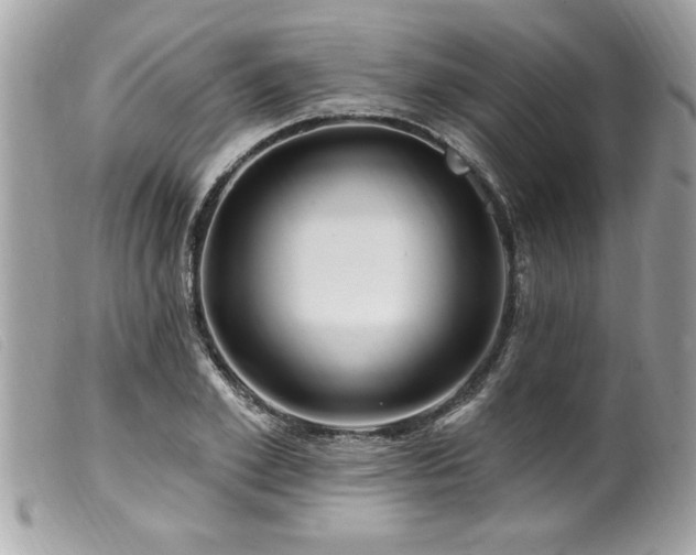 X0000100210981200805301322