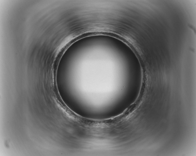 X0000100210982200805301322