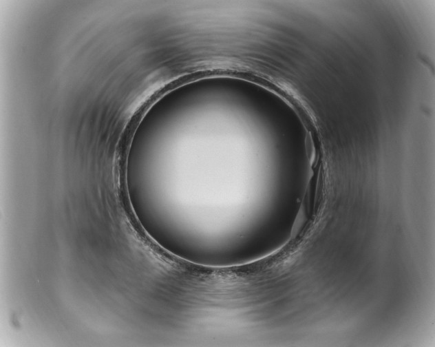X0000100210983200805301322