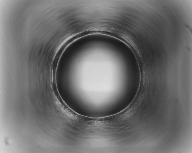 X0000100210984200805301322