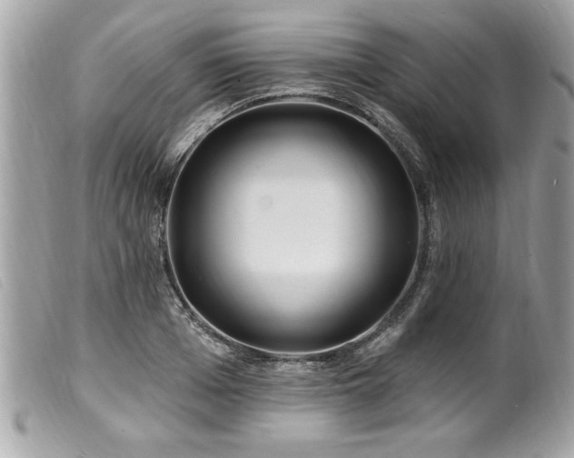 X0000100210985200805301322