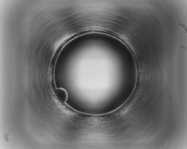 X0000100210987200805301322