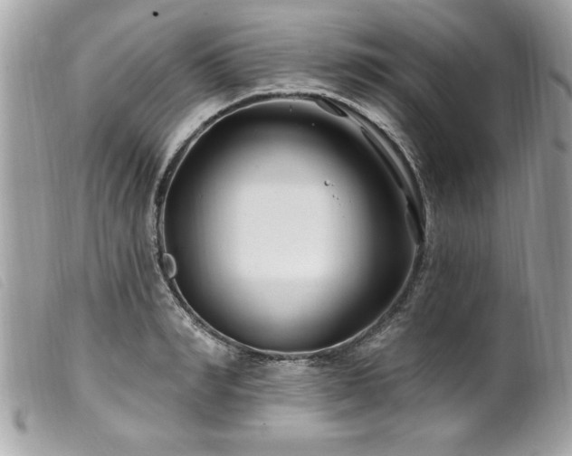 X0000100210990200805301322