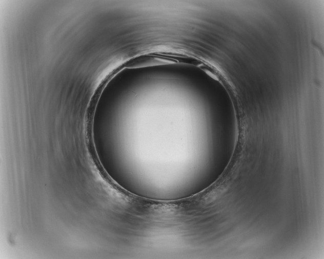 X0000100210991200805301322
