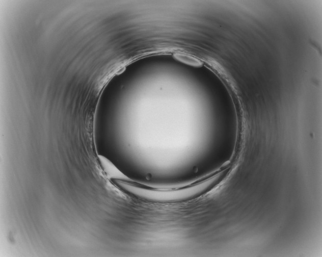 X0000100211001200805301322