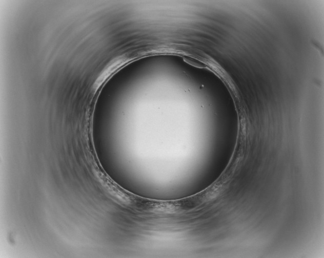 X0000100211002200805301322