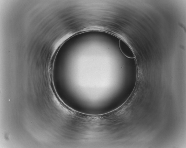 X0000100211003200805301322