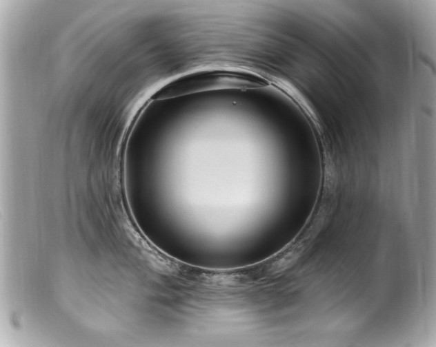 X0000100211004200805301322