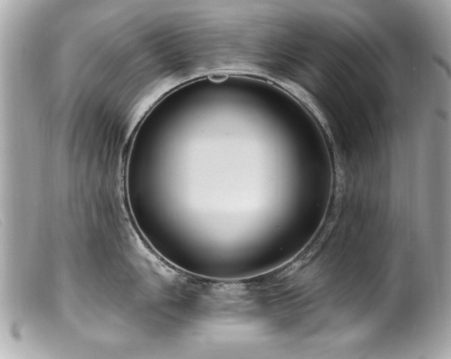 X0000100211006200805301322