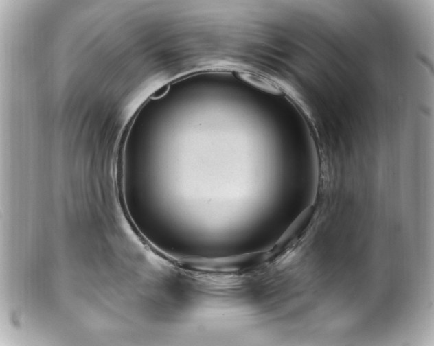 X0000100211007200805301322