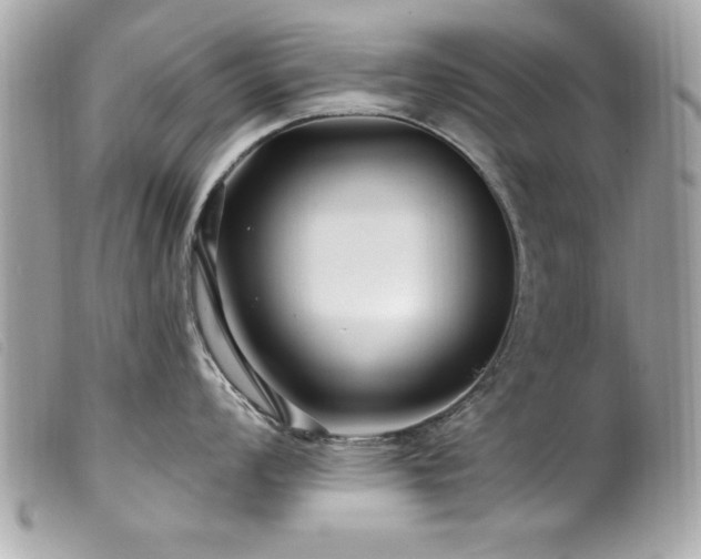 X0000100211008200805301322