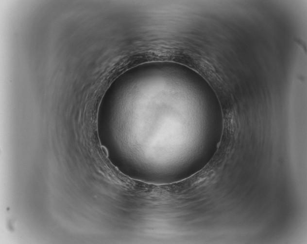 X0000100211009200805301321