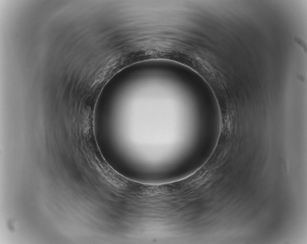 X0000100211012200805301321