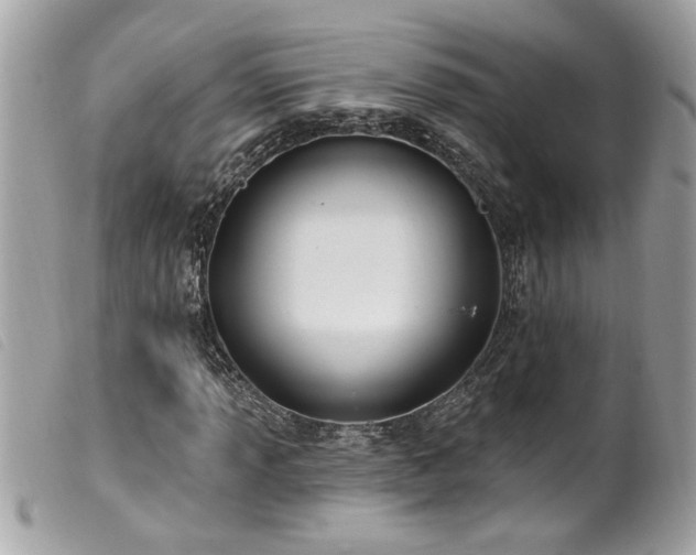 X0000100211013200805301321