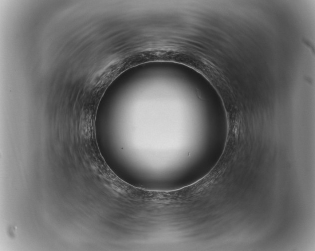 X0000100211014200805301321