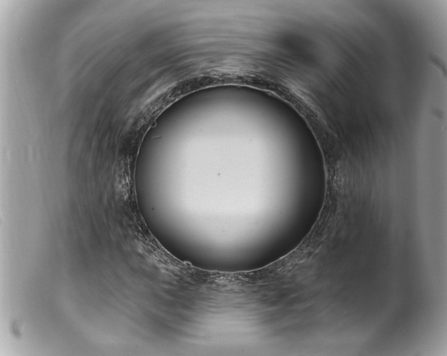 X0000100211015200805301321