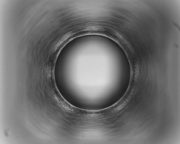 X0000100211017200805301321