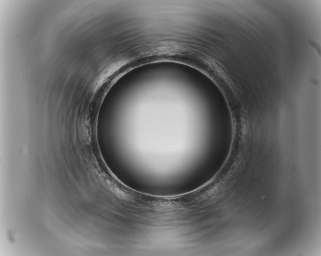 X0000100211018200805301321