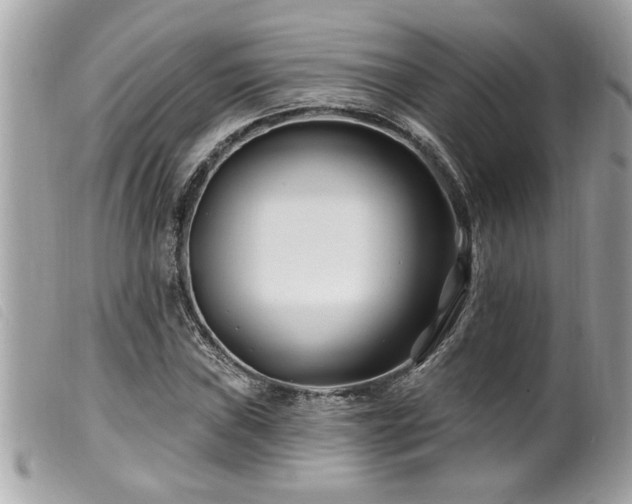 X0000100211019200805301321