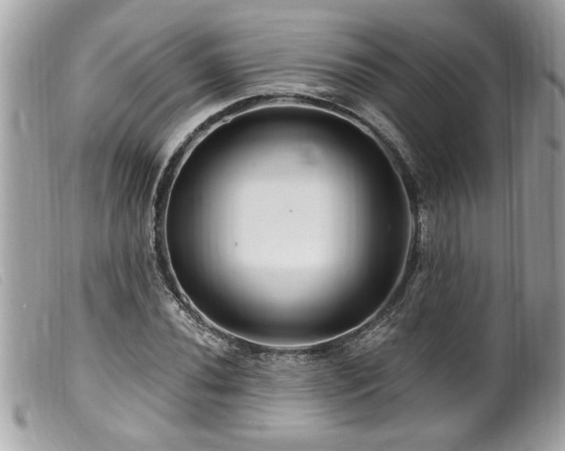 X0000100211020200805301321