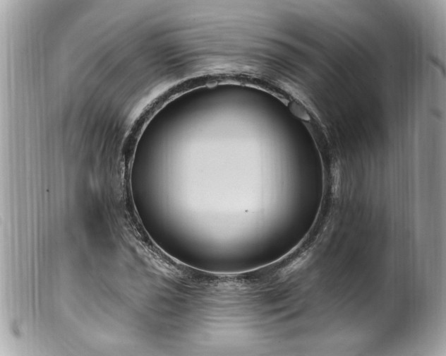 X0000100211021200805301321