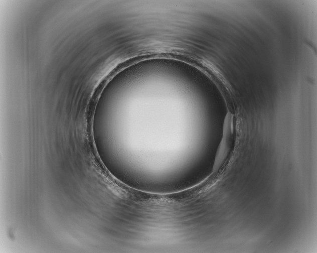 X0000100211023200805301321