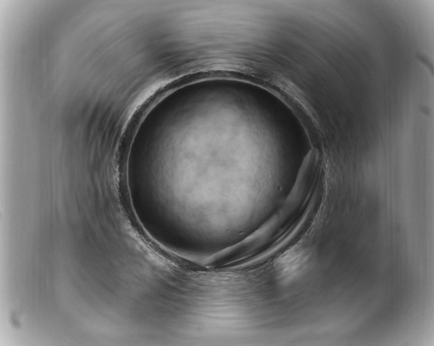 X0000100211024200805301321